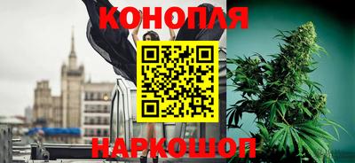 крисы Ирбит