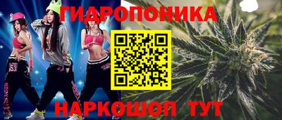 крисы Ирбит