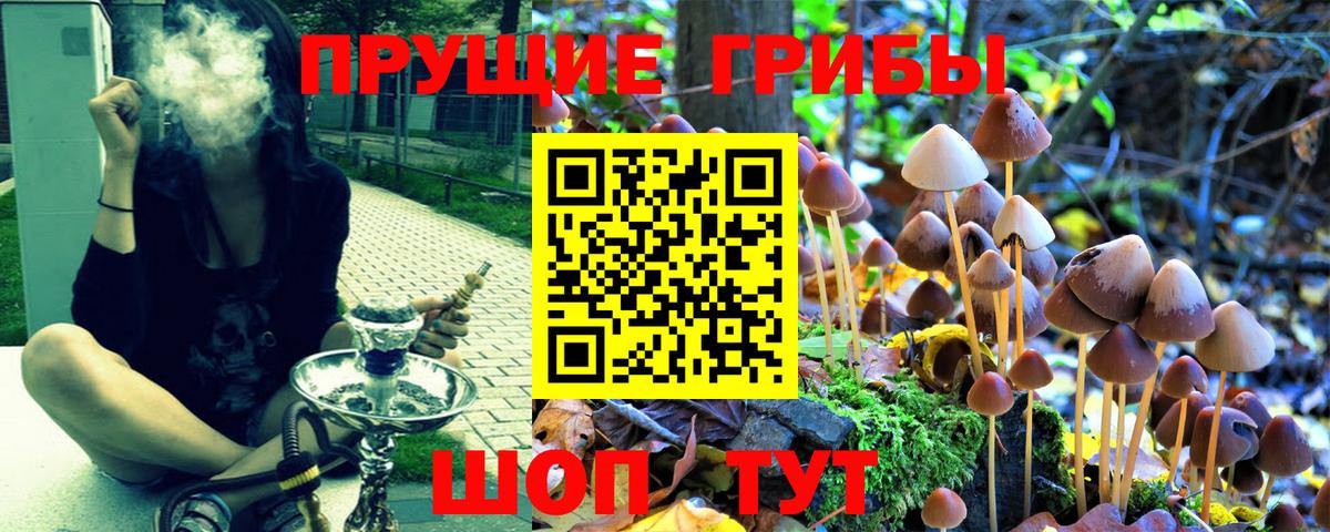 Шахты  Псилоцибиновые грибы Psilocybe  Вход с VPN 
