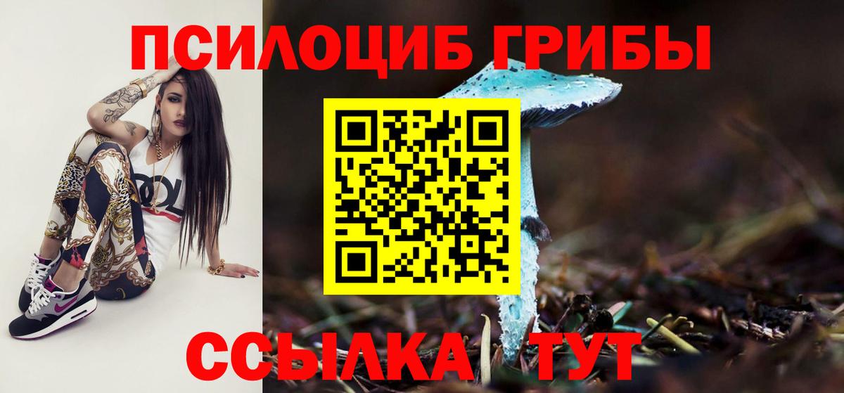 Псилоцибиновые грибы Psilocybine cubensis Шахты